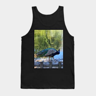 Peacock Tank Top